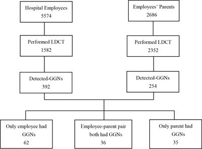 Characteristics of Ground-Glass Nodules Detected by Low-Dose Computed Tomography as a Regular Health Examination Among Chinese Hospital Employees and Their Parents